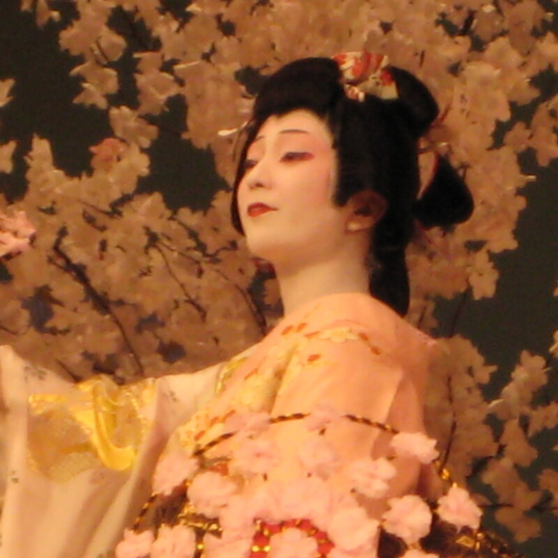 舞台：日本舞踊「元禄花見踊」 | 橘真由オフィシャルウェブサイト